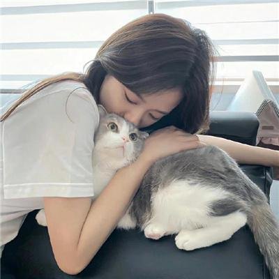 瘦虎肥龙 封面