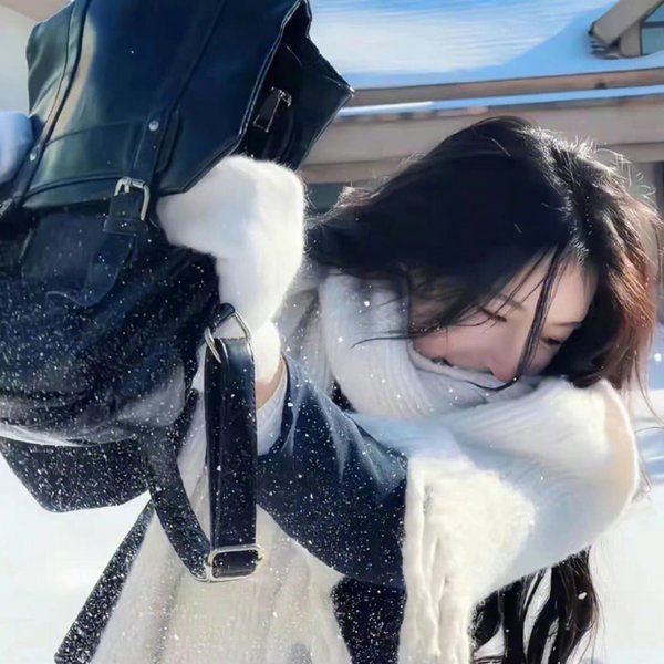冬狮 封面
